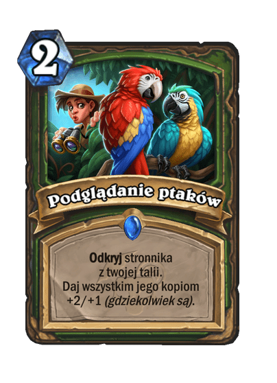 Podglądanie ptaków