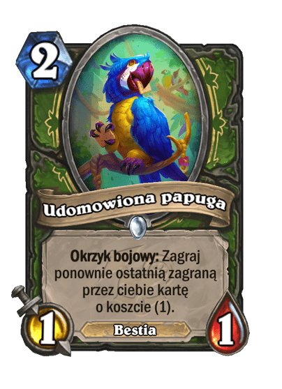 Udomowiona papuga