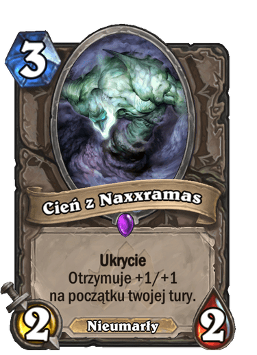 Cień z Naxxramas