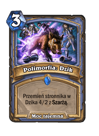 Polimorfia: Dzik