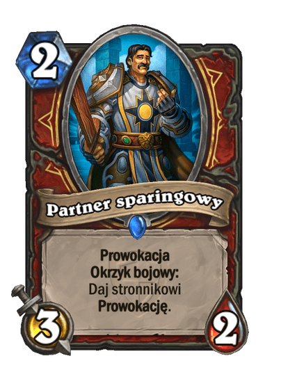 Partner sparingowy