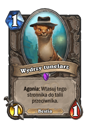 Wydrzy tunelarz