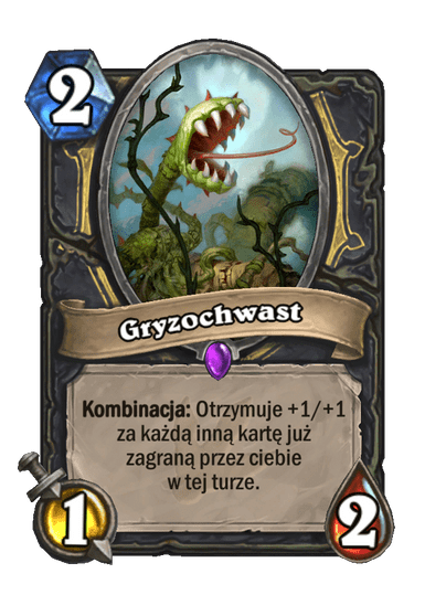 Gryzochwast