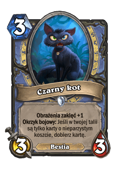 Czarny kot