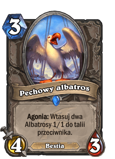 Pechowy albatros