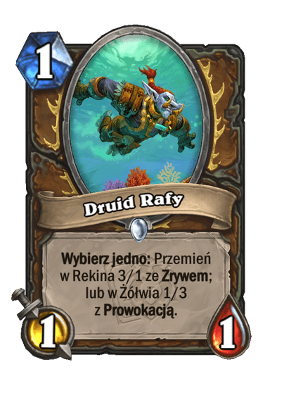 Druid Rafy